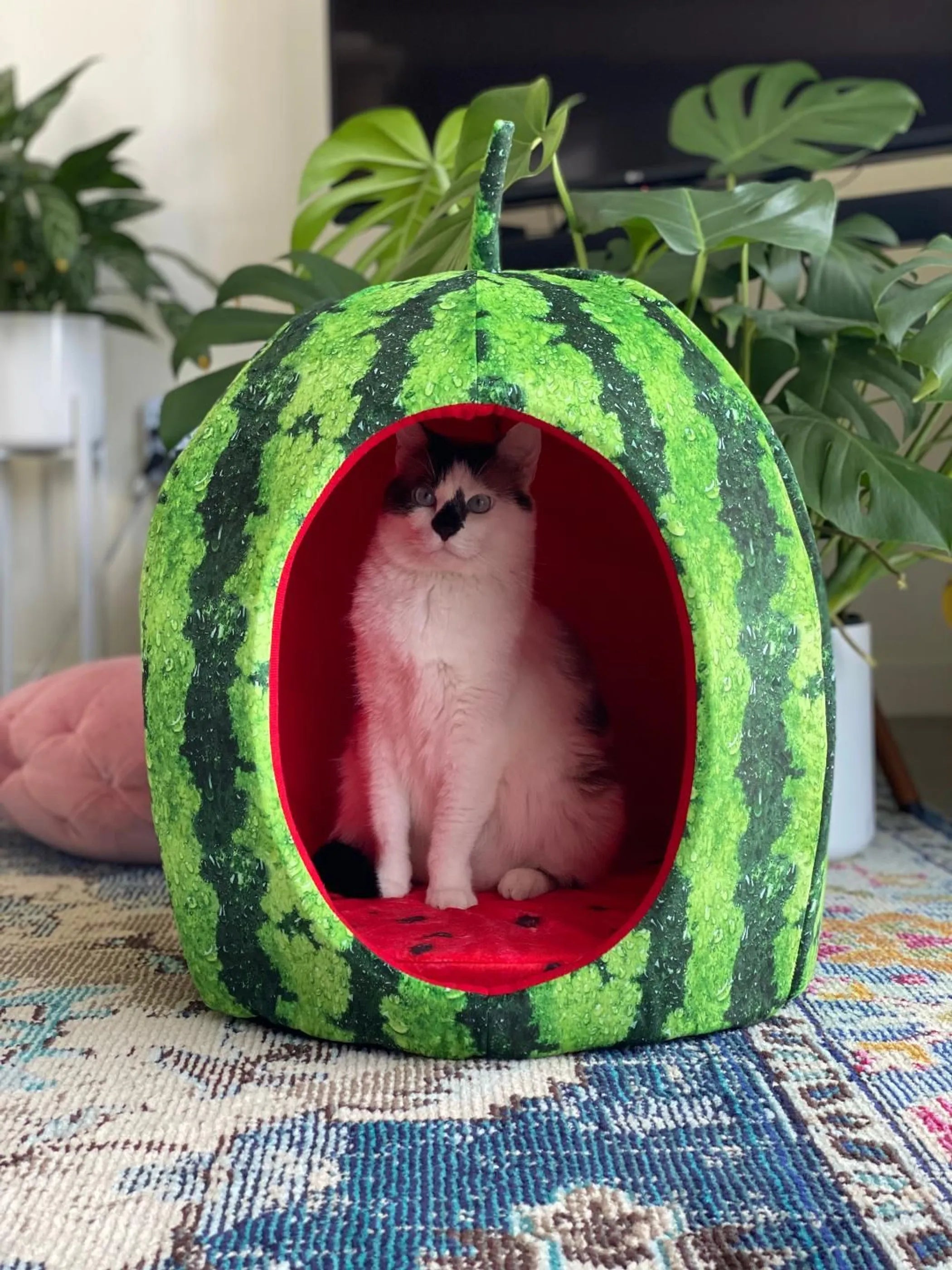 YML Watermelon Pet Bed